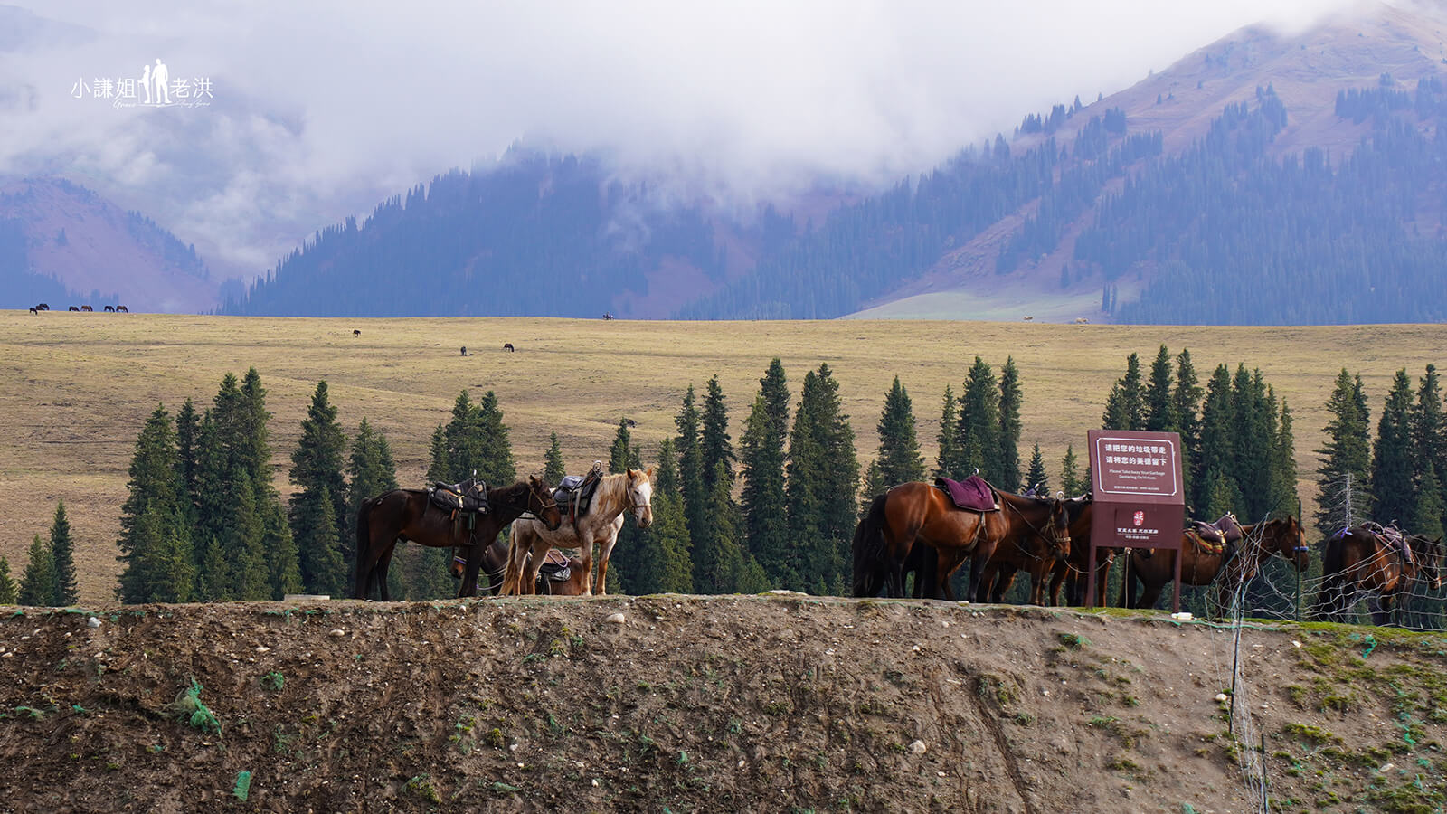 唐布拉百里畫廊