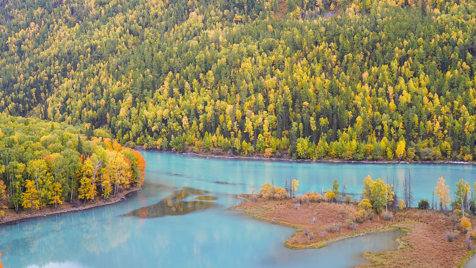 北疆自駕Day3喀納斯
